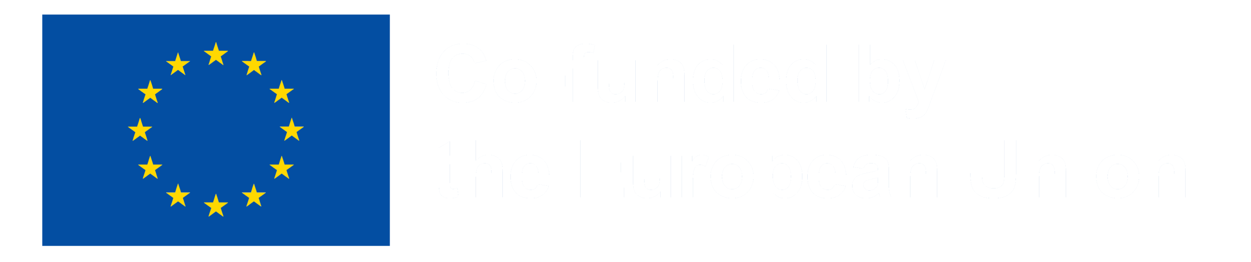 Co-Funded by European Union